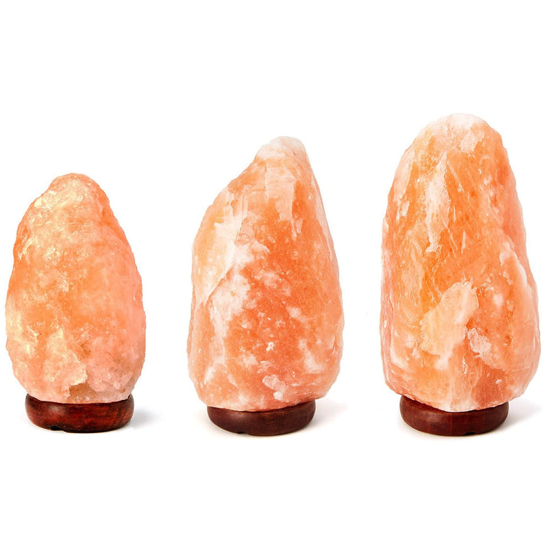 Himalayan Salt Lamp with Dimmer Switch – Natural Handcrafted Pink Salt Crystal Lamp for Relaxation and Wellness