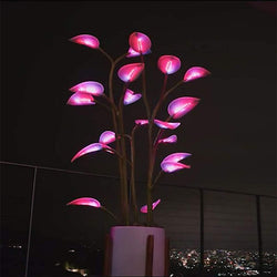 Enchanting LED Indoor Plant Light – Transform Your Home Ambience