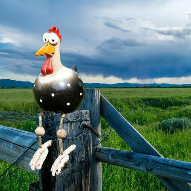 Fun Chicken Garden Ornaments | Unique Decorative Stakes for Your Garden