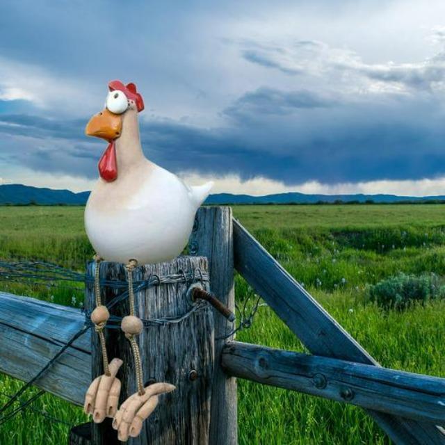 Fun Chicken Garden Ornaments | Unique Decorative Stakes for Your Garden